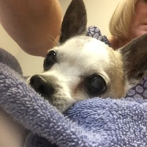 Meet your Posher, Cheryl